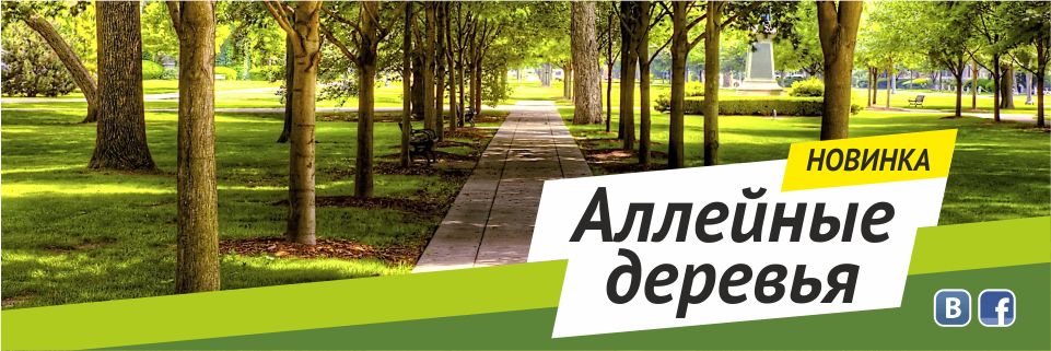 Аллейные деревья