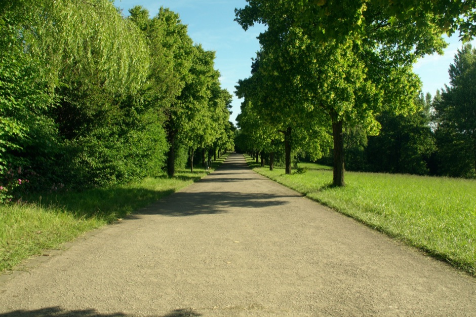 Аллеи