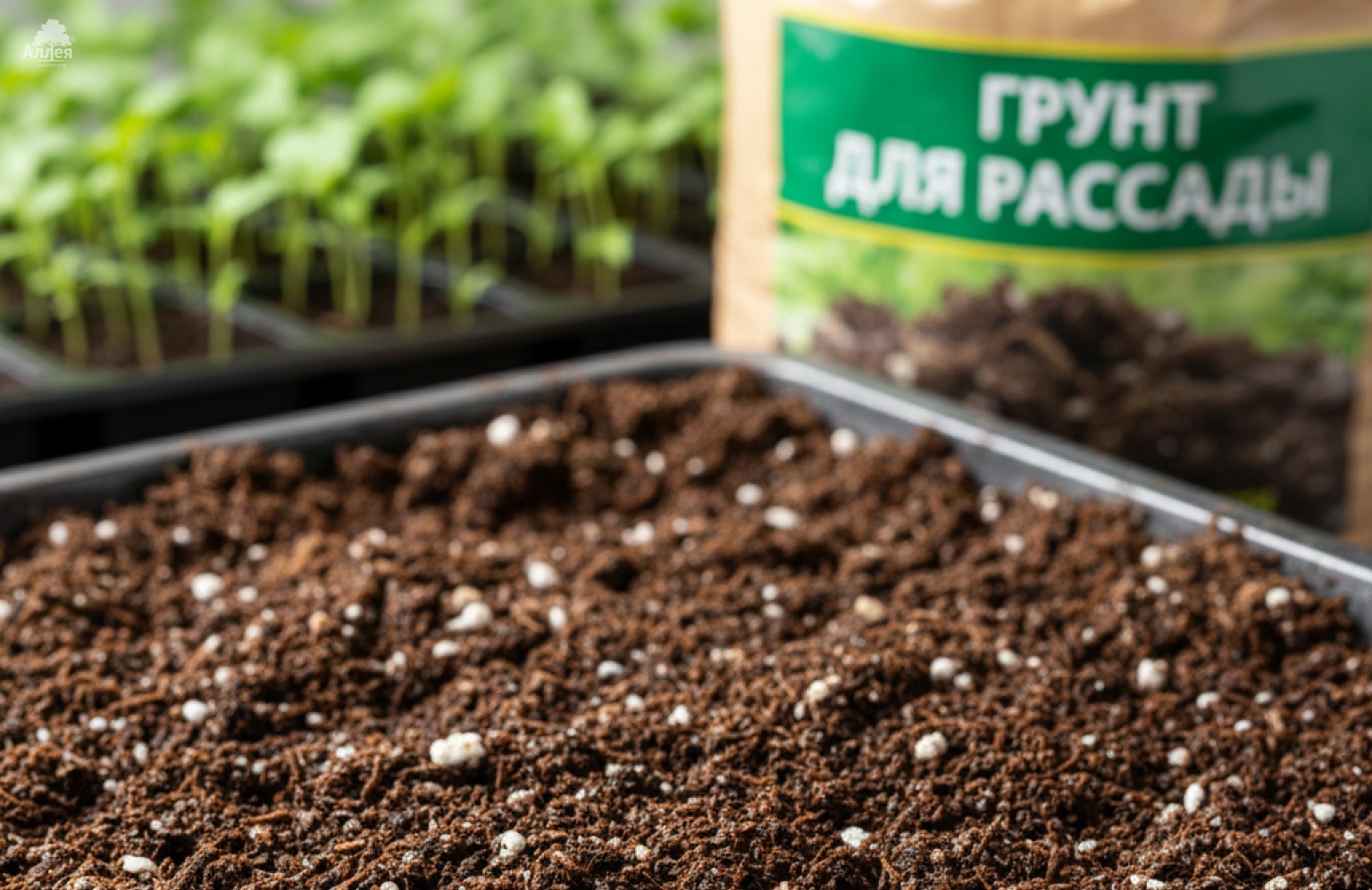 Рыхлый качественный грунт для рассады с частицами перлита в пластиковом контейнере