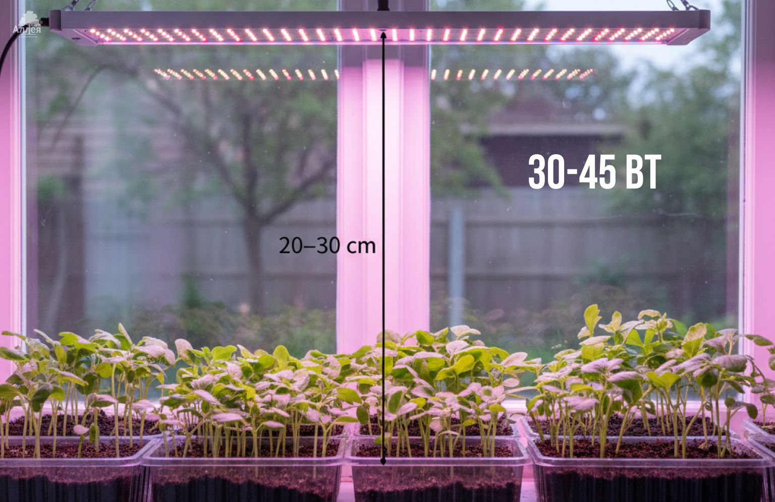 Подоконник с рассадой и линейной фитолампой, показано расстояние 20–30 см до верхушек и мощность 30–45 Вт для правильной подсветки.