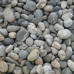 Булыжник Картошка купить в Нижнем Новгороде