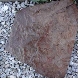 Плитняк ДРАКОН красный из песчаника голтованный купить во Владимире