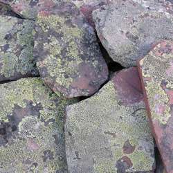 Плитняк ЛИШАЙНИК из кварцита-песчаника купить во Владимире