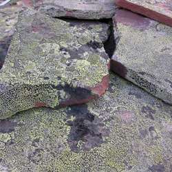 Плитняк ЛИШАЙНИК из кварцита-песчаника купить во Владимире