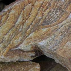 Плитняк ШКУРА ТИГРА из песчаника купить во Владимире