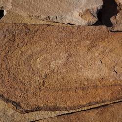 Плитняк ЖЕЛТЫЙ С РАЗВОДАМИ из песчаника купить во Владимире