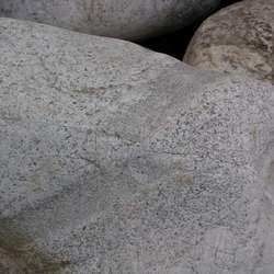 Валун АЛЬБИНОС белый купить во Владимире