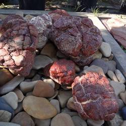 Валун БЫЧЬЕ СЕРДЦЕ купить в Нижнем Новгороде