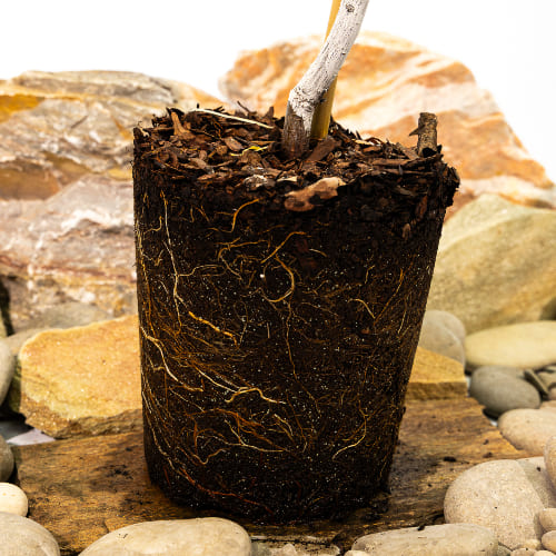 Дюк Превосходное Веньяминова купить во Владимире