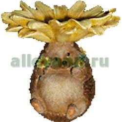 Фигура садовая КОРМУШКА ЕЖИК купить в Нижнем Новгороде