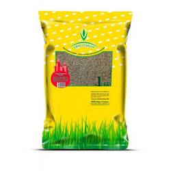 Газонная травосмесь ЕВРО-УНИВЕРСАЛ БЮДЖЕТ купить во Владимире