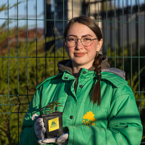 Гортензия метельчатая Пинки Винки купить в Нижнем Новгороде