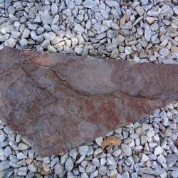 Плитняк ДРАКОН красный из песчаника купить в Нижнем Новгороде