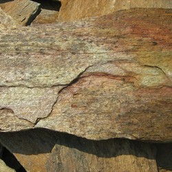 Плитняк КОРА ДЕРЕВА из сланца купить во Владимире