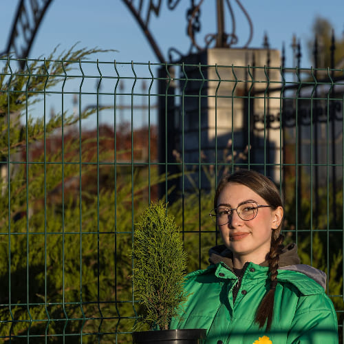 Туя западная Конфетти купить во Владимире